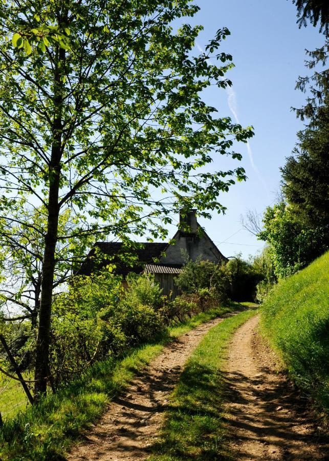 Le Bourmier Anlhiac Near Excideuil Βίλα Εξωτερικό φωτογραφία