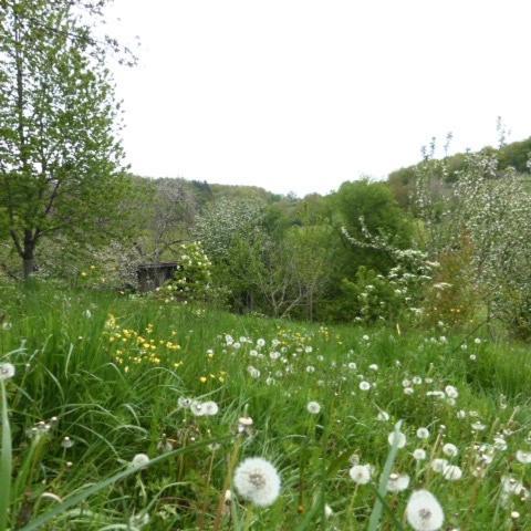 Le Bourmier Anlhiac Near Excideuil Βίλα Εξωτερικό φωτογραφία